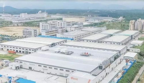 中國崛起為全球植物基食品重要市場，Omni新葷主義引領安心純素餐飲服務新潮流